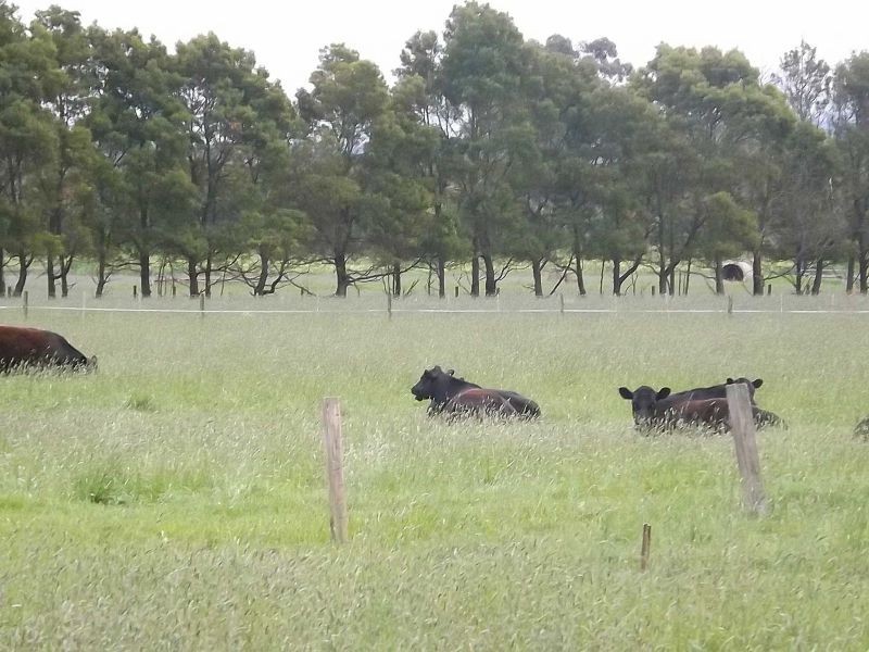 111 Eight Mile Road, Trafalgar VIC 3824