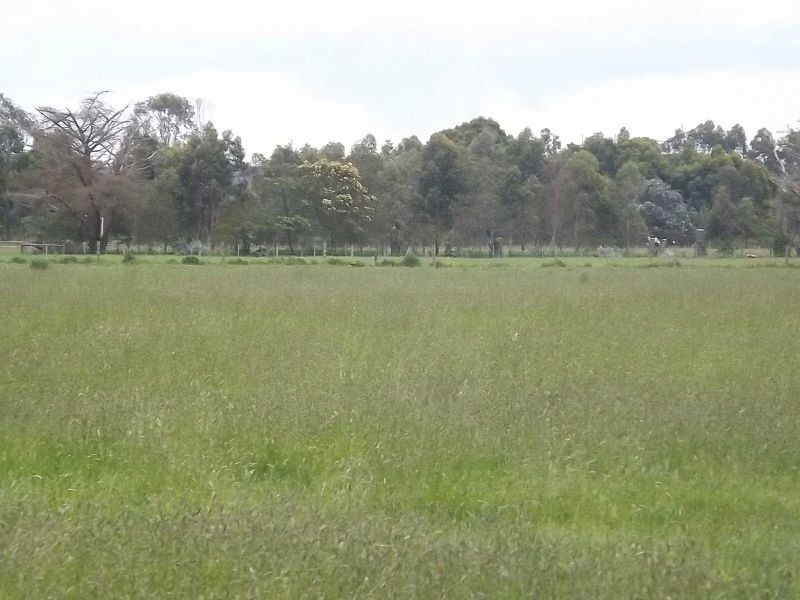 111 Eight Mile Road, Trafalgar VIC 3824