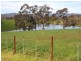 2164 Willow Grove Road, Hill End VIC 3825