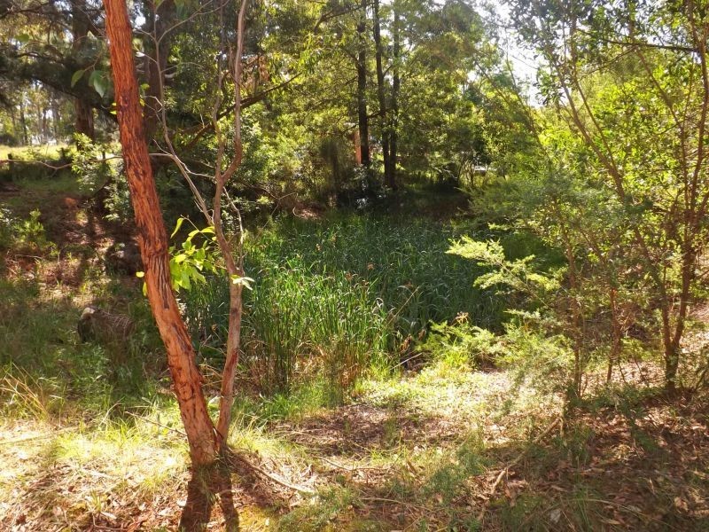 2164 Willow Grove Road, Hill End VIC 3825