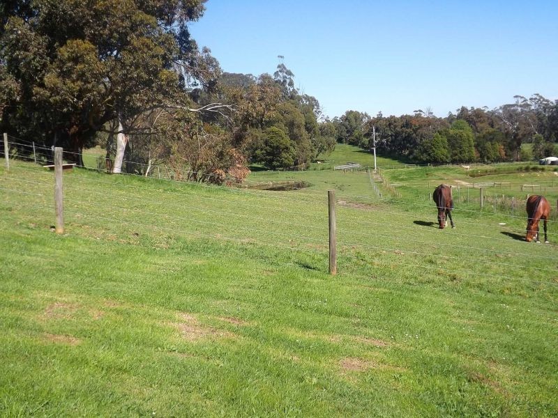 236 Leongatha Road, Yarragon VIC 3823