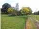 159 Sunny Creek Road, Trafalgar VIC 3824