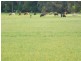 159 Sunny Creek Road, Trafalgar VIC 3824