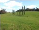 159 Sunny Creek Road, Trafalgar VIC 3824