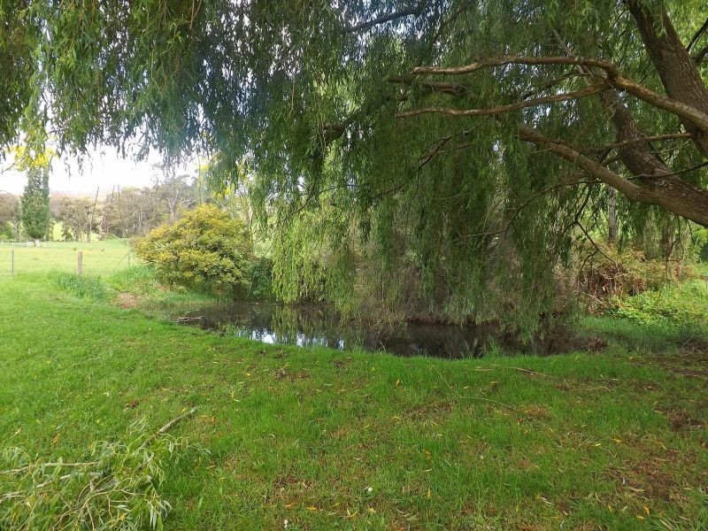 159 Sunny Creek Road, Trafalgar VIC 3824