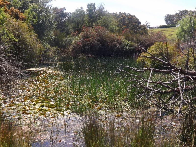 39 Moir Road, Trafalgar East VIC 3824