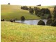 166 Cooks Road, Thorpdale VIC 3835