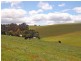 166 Cooks Road, Thorpdale VIC 3835