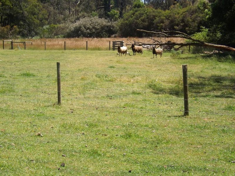 1201 Willow Grove Road, Trafalgar VIC 3824