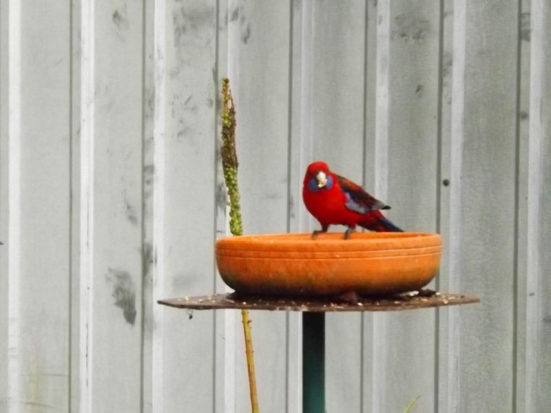 528 Rogers Road, Narracan VIC 3824