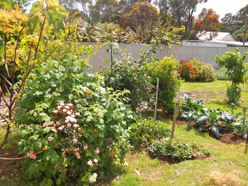 11-13 Morton Street, Thorpdale VIC 3835