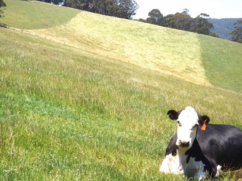 Lot 3 Weirs Road, Narracan VIC 3824