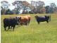 Lot 3 Weirs Road, Narracan VIC 3824