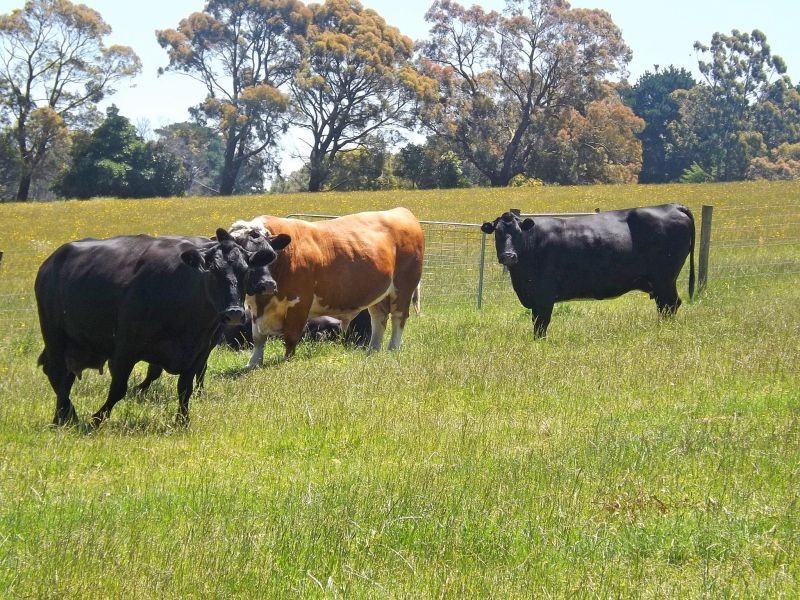Lot 3 Weirs Road, Narracan VIC 3824