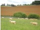 Lot 1 McDonalds Track, Thorpdale VIC 3835