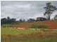 Lot 1 McDonalds Track, Thorpdale VIC 3835