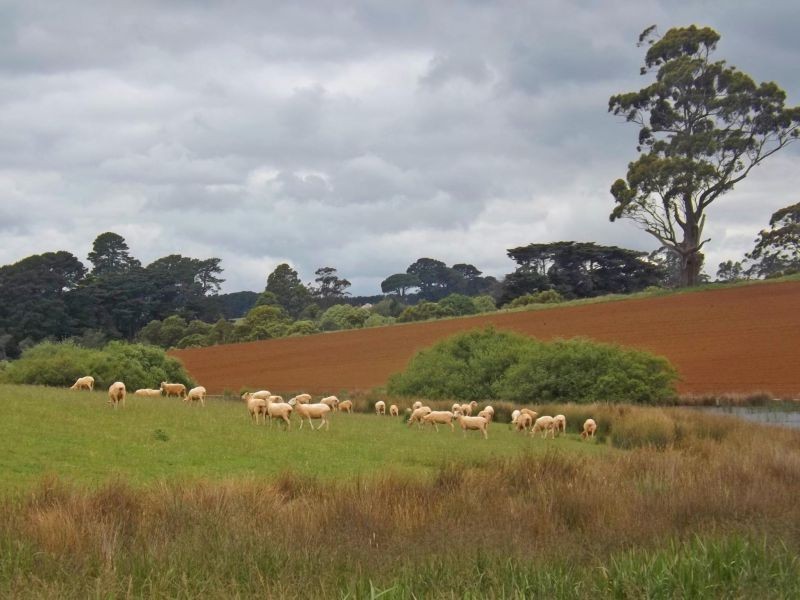 Lot 1 McDonalds Track, Thorpdale VIC 3835