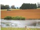 Lot 1 McDonalds Track, Thorpdale VIC 3835