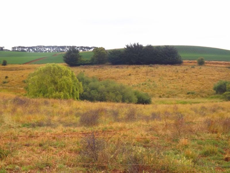 380 Saviges Road, Thorpdale VIC 3835