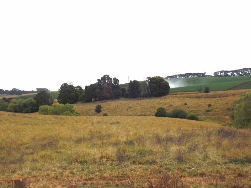 380 Saviges Road, Thorpdale VIC 3835