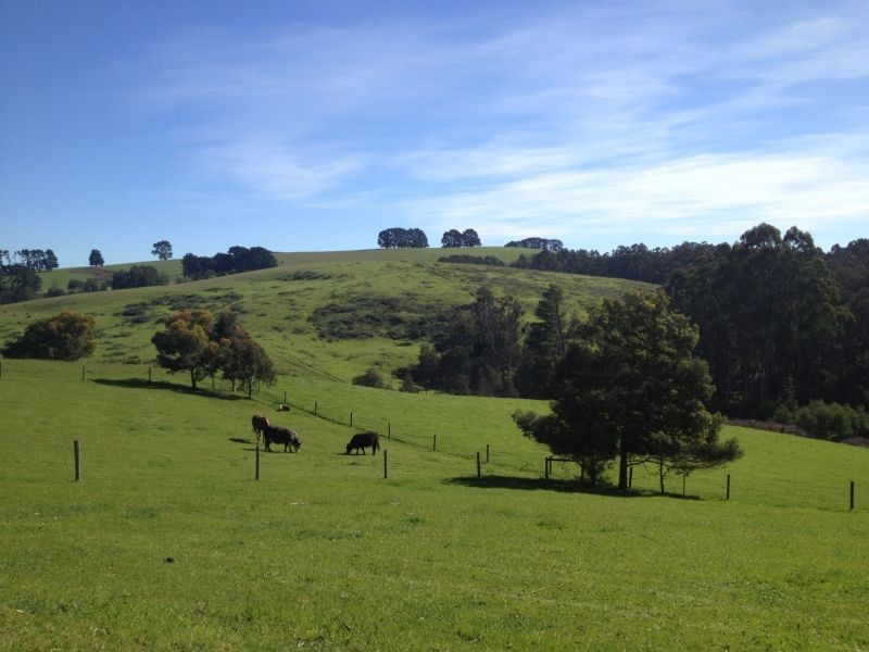 908 Sunny Creek Road, Trafalgar VIC 3824