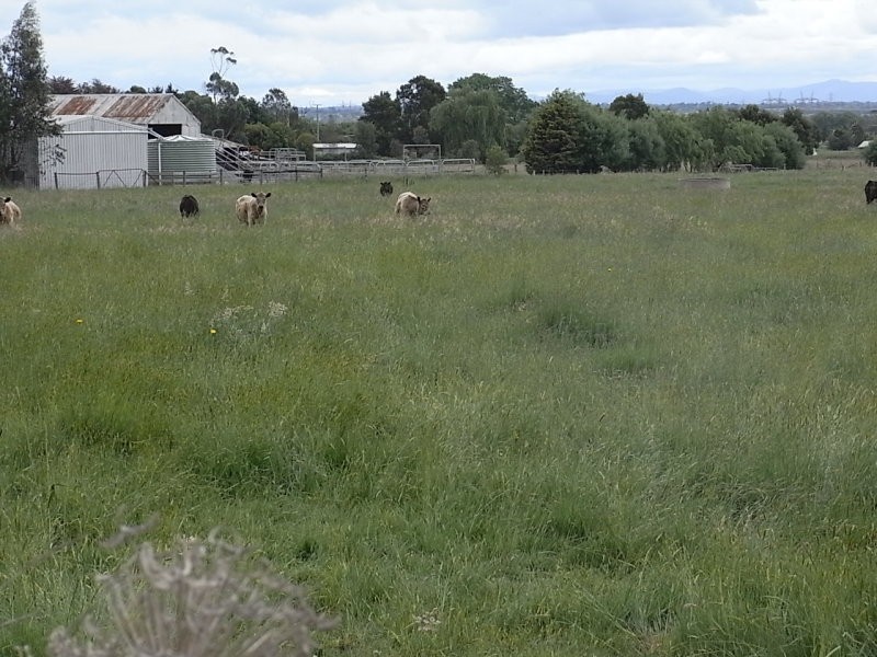 824 Waterloo Road, Trafalgar VIC 3824