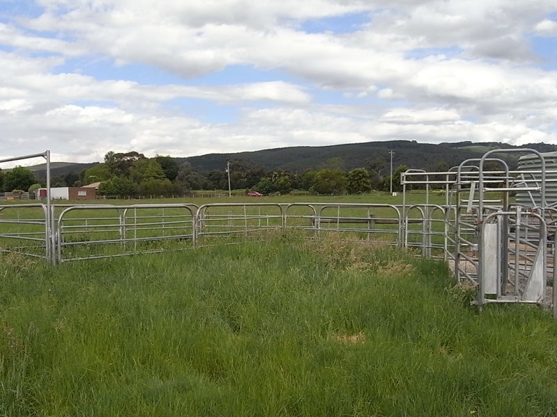 824 Waterloo Road, Trafalgar VIC 3824