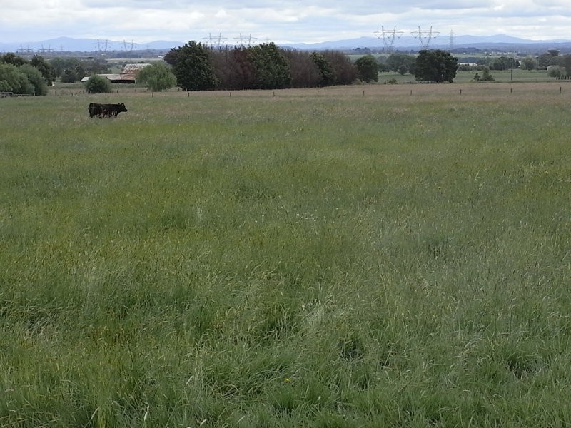 824 Waterloo Road, Trafalgar VIC 3824