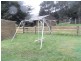 1303 Sunny Creek Road, Thorpdale VIC 3835