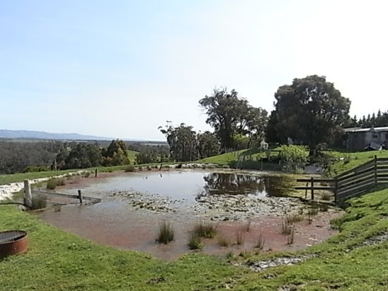 651 Moe Willow Grove Road, Tanjil South VIC 3825