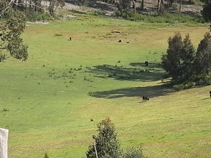 651 Moe Willow Grove Road, Tanjil South VIC 3825