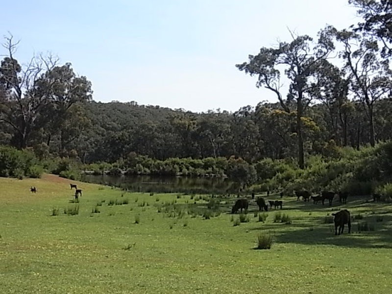 651 Moe Willow Grove Road, Tanjil South VIC 3825