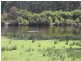 651 Moe Willow Grove Road, Tanjil South VIC 3825
