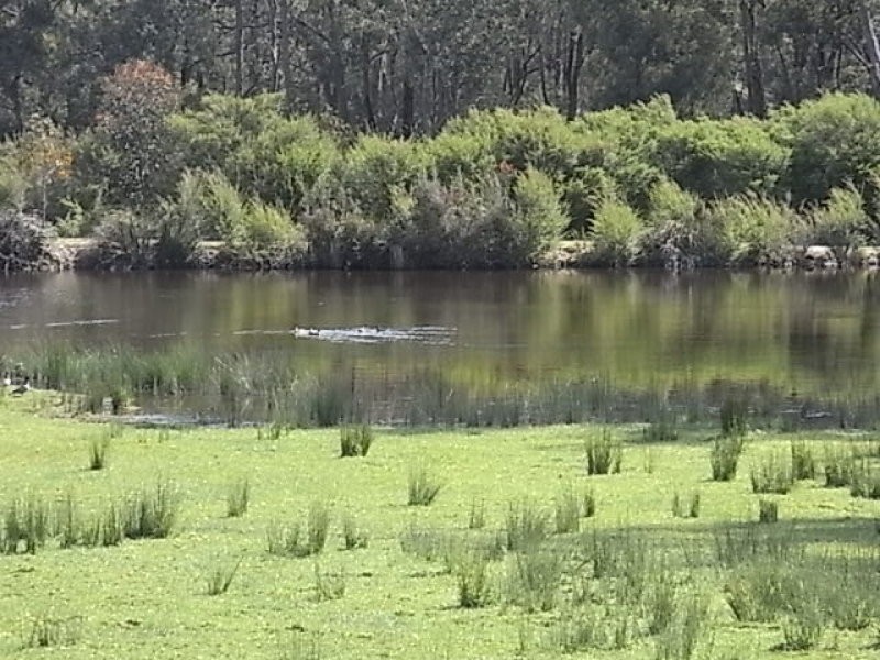 651 Moe Willow Grove Road, Tanjil South VIC 3825