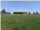 651 Moe Willow Grove Road, Tanjil South VIC 3825