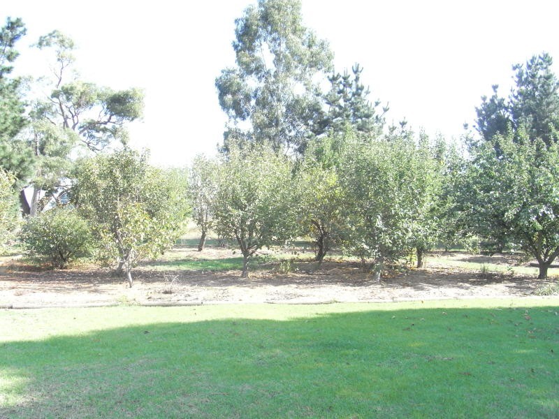4244 Old Sale Road, Westbury VIC 3825