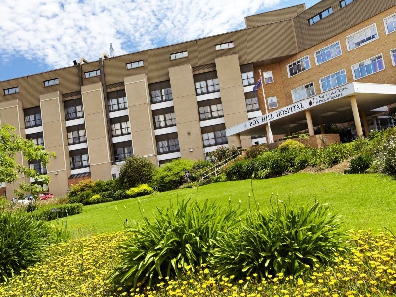 98 Severn Street, Box Hill North VIC 3129