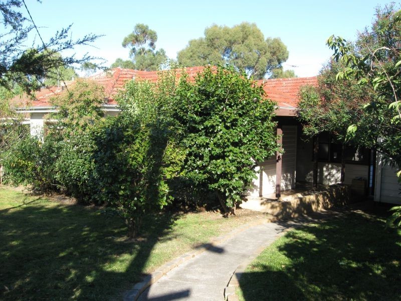 11 Harrison Street, Box Hill North VIC 3129