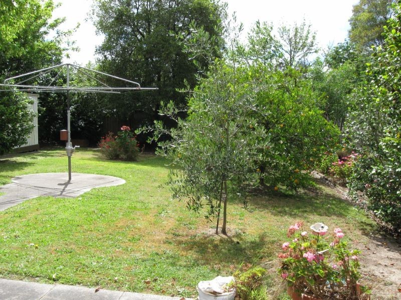 35 Haig Street, Box Hill South VIC 3128