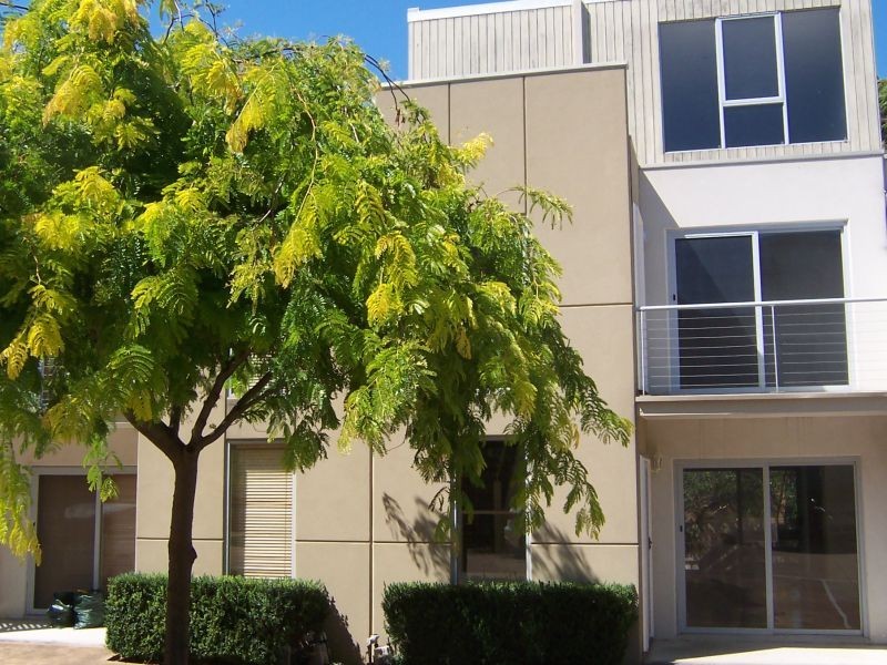 29/23-33 Cambridge Street, Box Hill VIC 3128