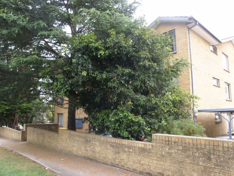 9/37 Albion Road, Box Hill VIC 3128