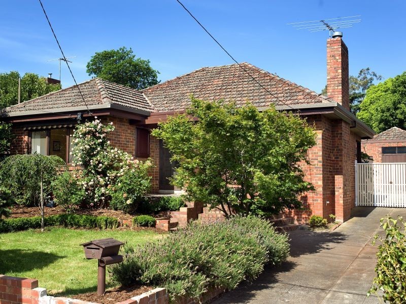 8 Maple Street, Box Hill VIC 3128