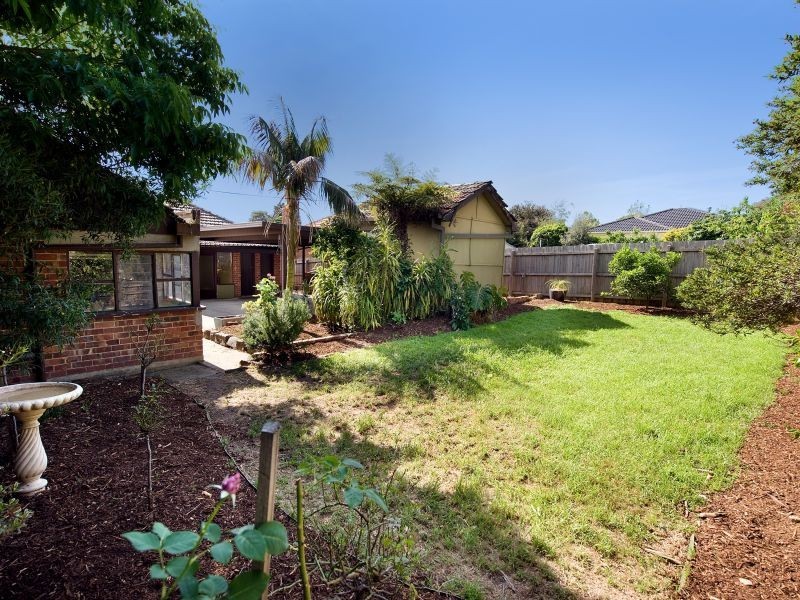 8 Maple Street, Box Hill VIC 3128