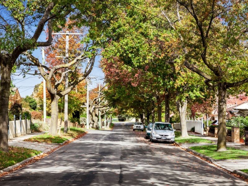 25 Wavell Street, Box Hill VIC 3128