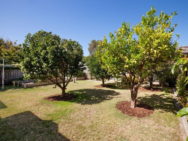 158 Station Street, Box Hill South VIC 3128