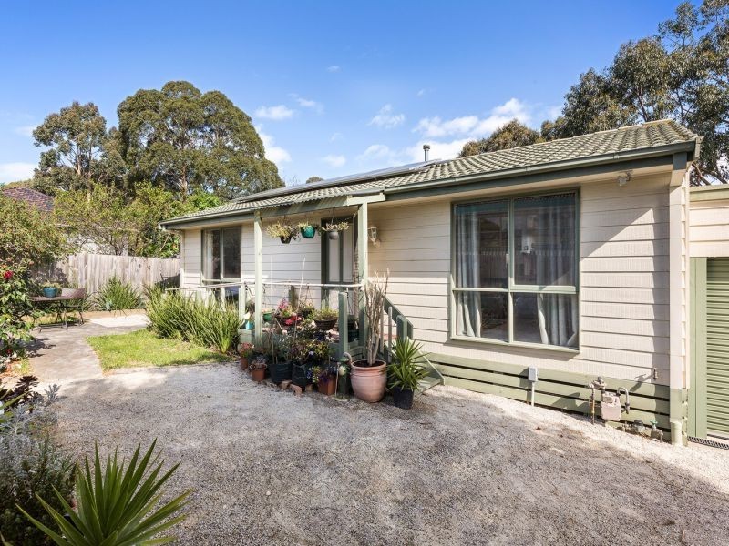 6B Hurter Street, Blackburn South VIC 3130