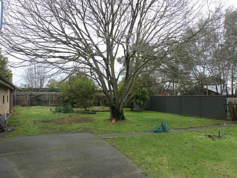 25 Graham Place, Box Hill VIC 3128