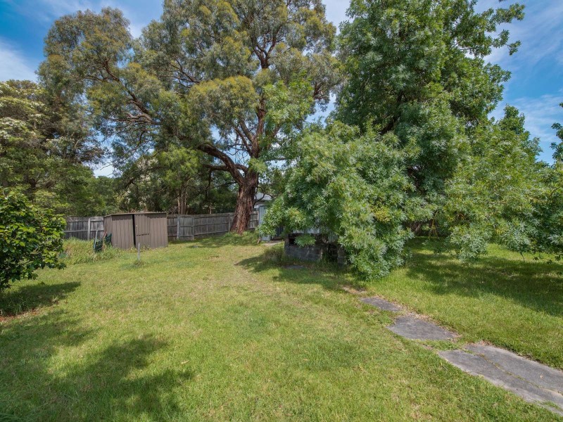13 Maple Street, Blackburn VIC 3130