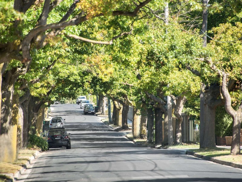 68 Margaret Street, Box Hill VIC 3128