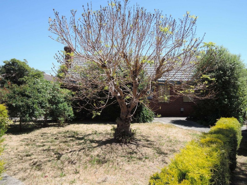 3 Banool Quadrant, Doncaster East VIC 3109